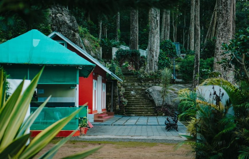 Munnar Forest Camping – Kerala
