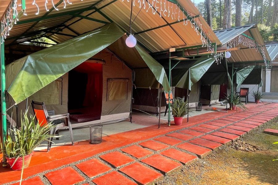 Munnar Forest Camping – Kerala