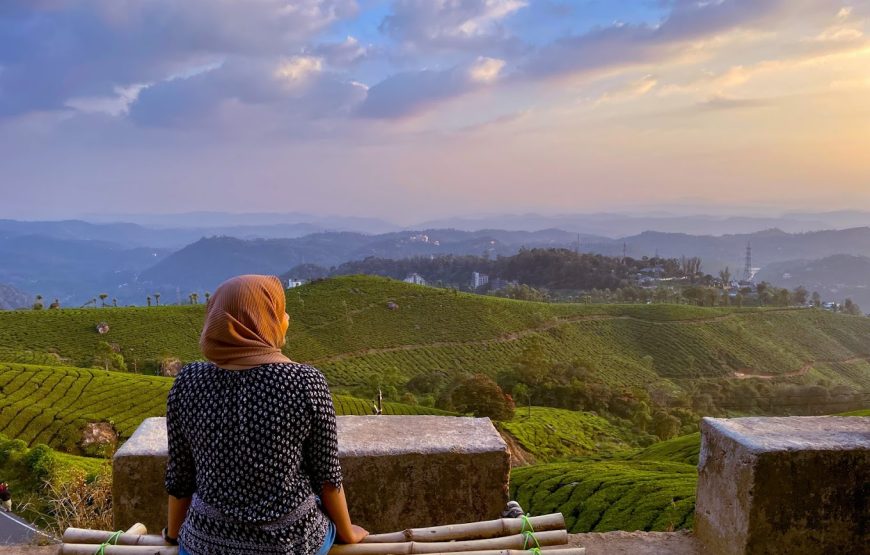 Munnar Forest Camping – Kerala