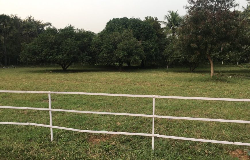 Nannilam Organic Farm – Tamil Nadu