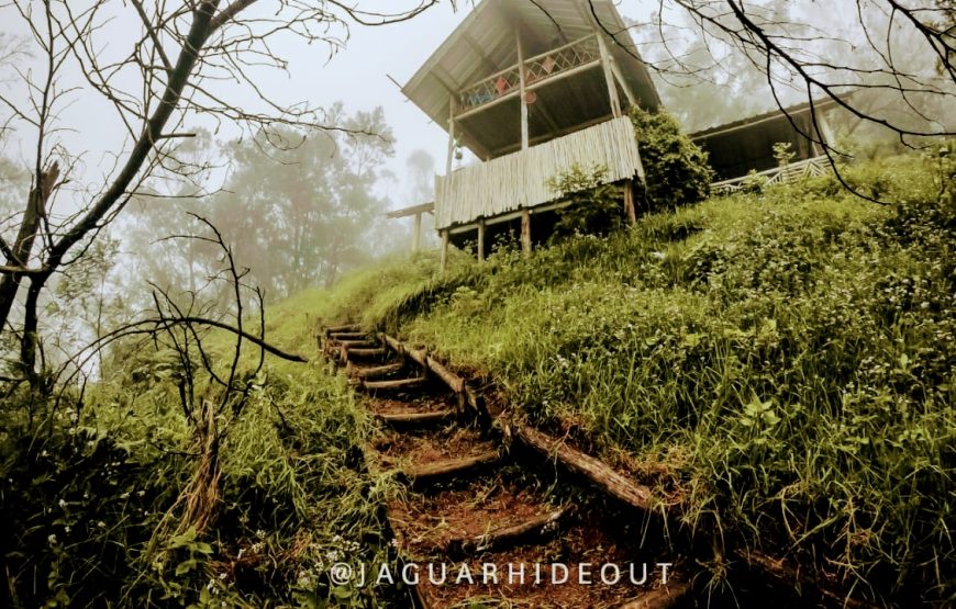 Rock Path Adventures – Kerala