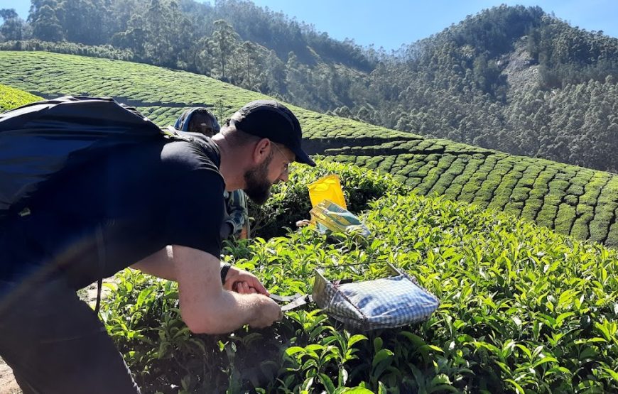 Rock Path Adventures – Kerala
