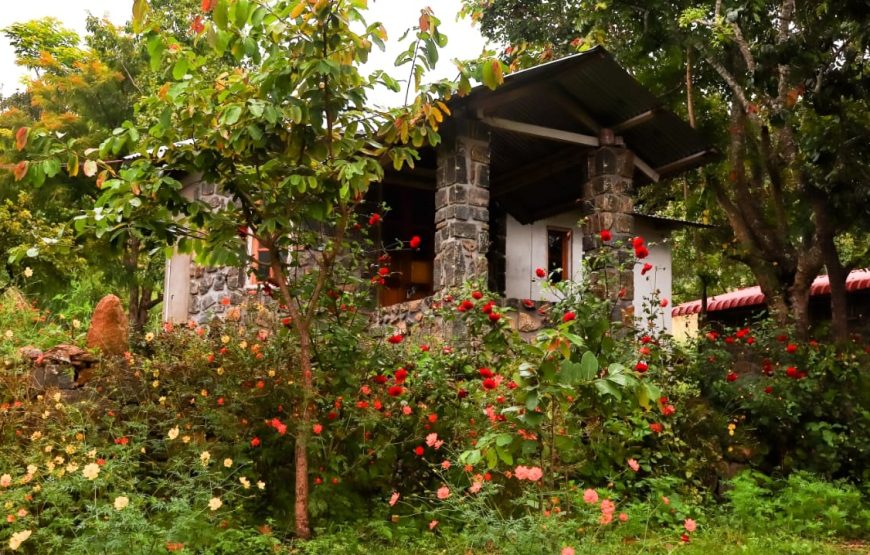 Spice valley camp – Kodaikanal, Tamil Nadu