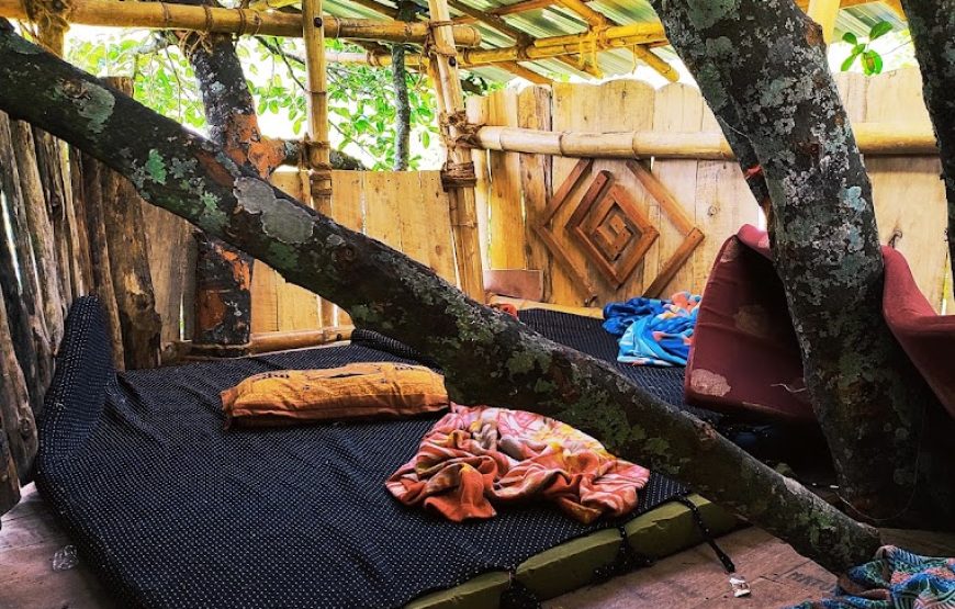 Spice valley camp – Kodaikanal, Tamil Nadu