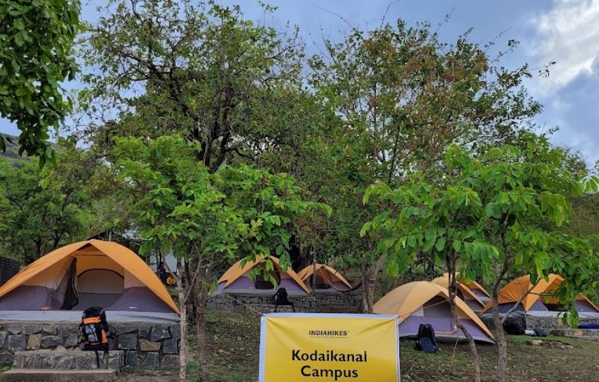 Spice valley camp – Kodaikanal, Tamil Nadu