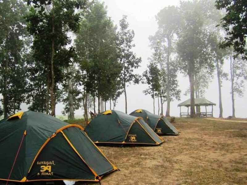 Suryanelly Camp – Kerala