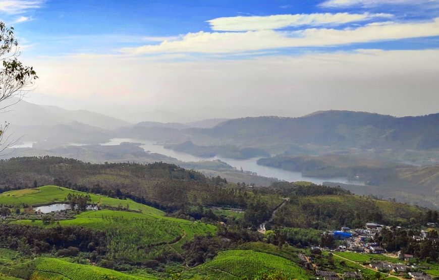 Suryanelly Camp – Kerala