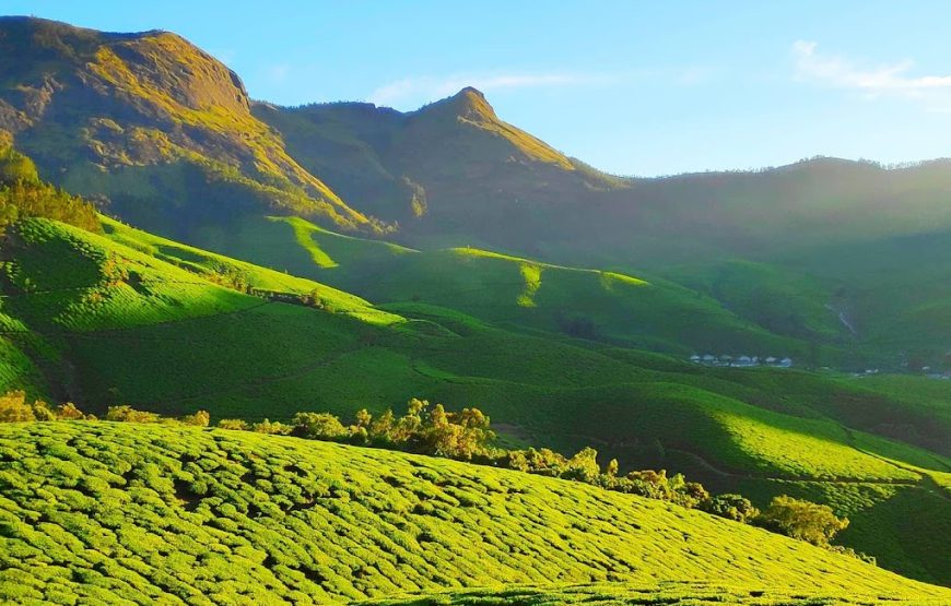 Suryanelly Camp – Kerala