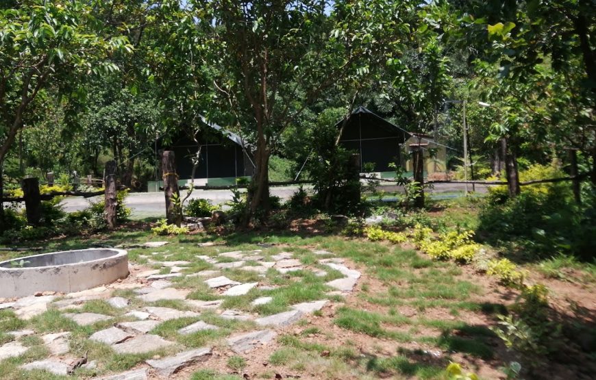 Coorg Camping, Jollyboys – Madikeri, Karnataka