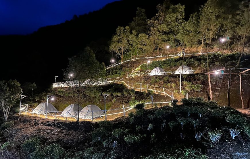 The County Camp, Kolukkumalai Base Camp – Kerala