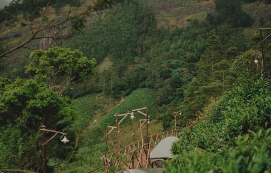 The County Camp, Kolukkumalai Base Camp – Kerala