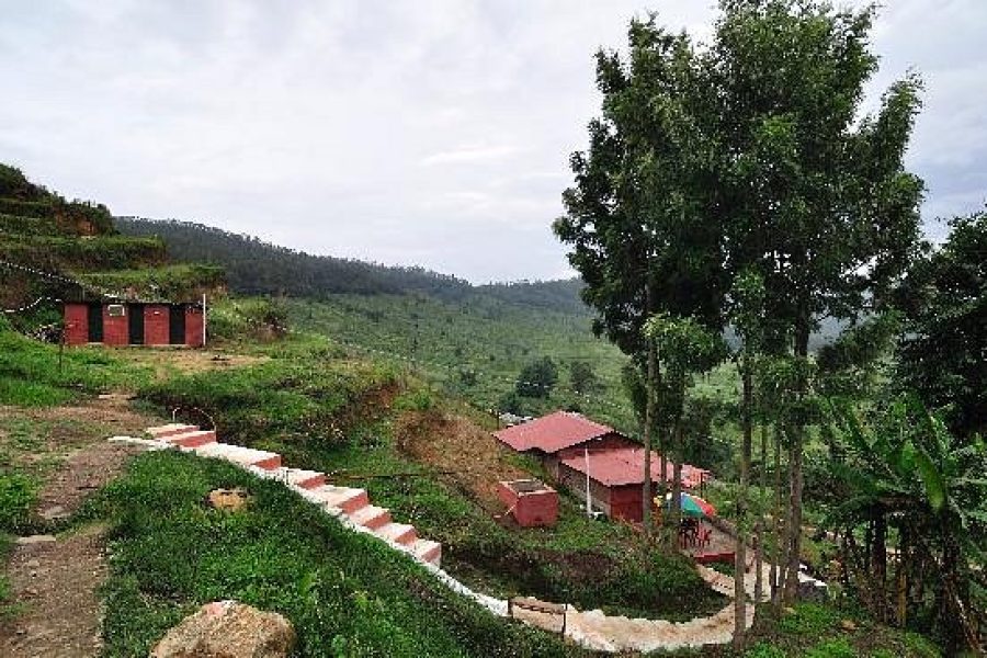 The Nature Trust’s Campers’ Club – Kodaikanal, Tamil Nadu