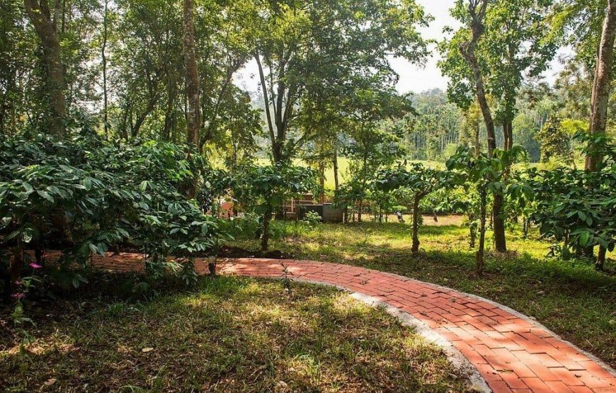 Thennal Jungle Camp – Kerala