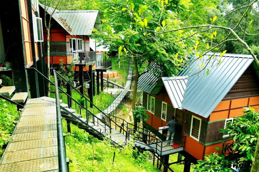 Tree House in Munnar – Kerala