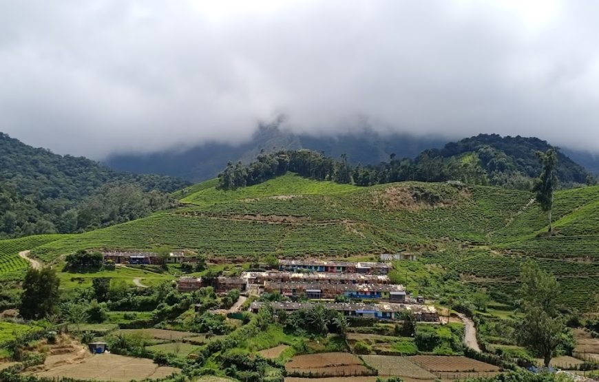 Wild Sherpas Tenting And Camping – Kerala