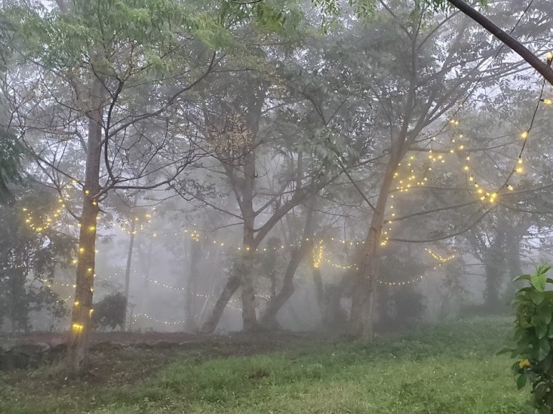 Wilde Troupe, Camping Grounds – Tamil Nadu