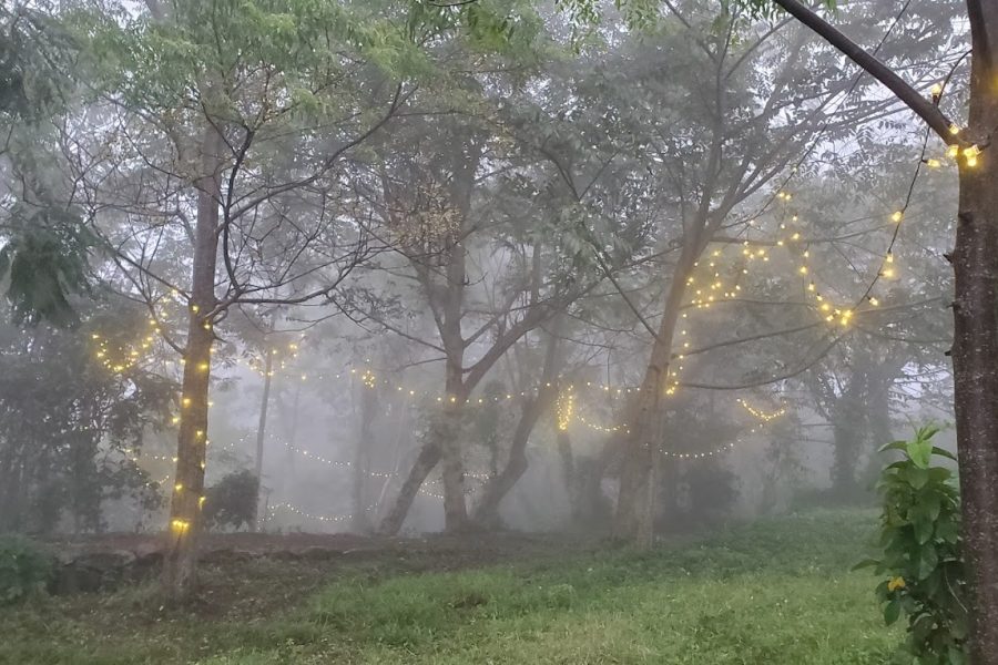 Wilde Troupe, Camping Grounds – Tamil Nadu