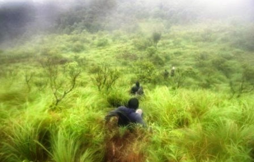 Coorg Camping, Jollyboys – Madikeri, Karnataka