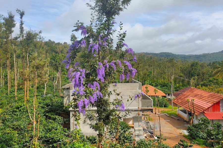 CAMP ALPHA – Chikmagalur, Karnataka