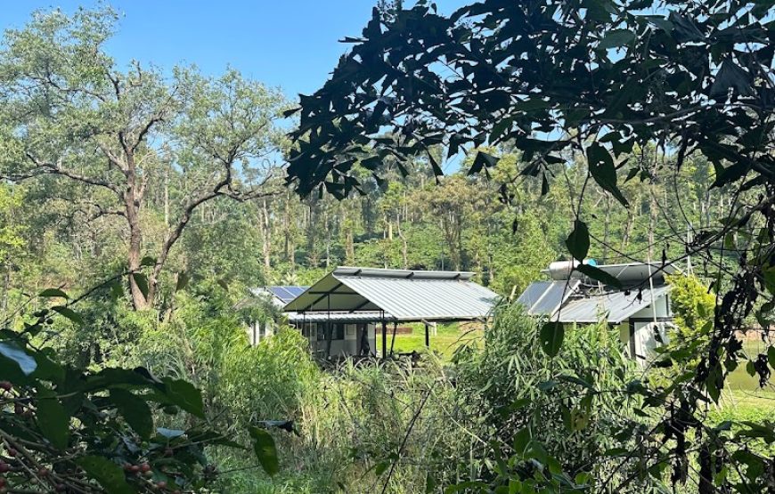 Camp Monk Sakleshpur