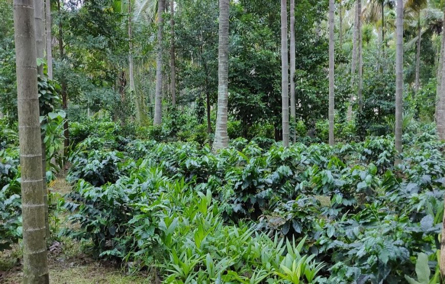 CampKarle – Karnataka
