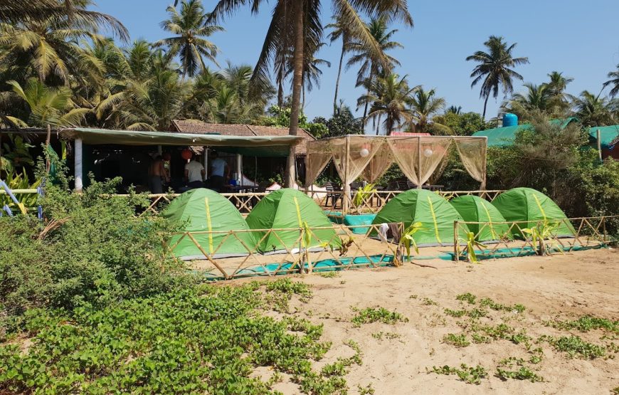 Freedom Cafe Gokarna