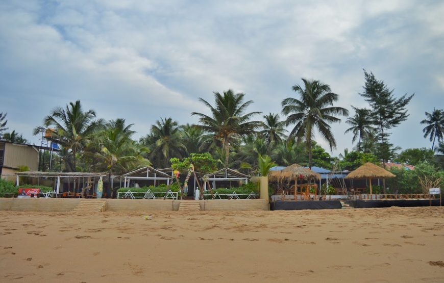 Freedom Cafe Gokarna