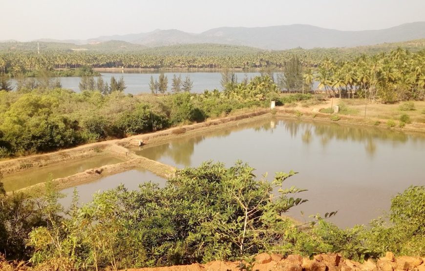 Karkituri Camp Site