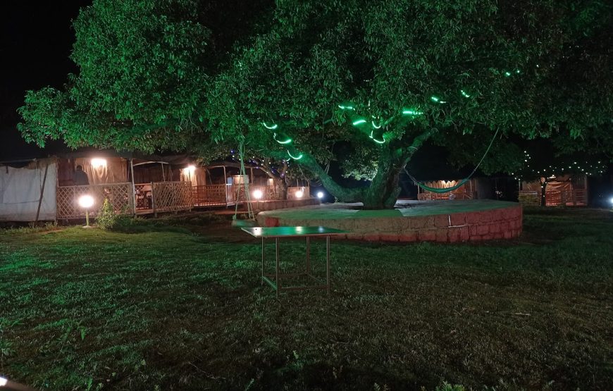 Mahabaleswar tent and wood house – Maharashtra