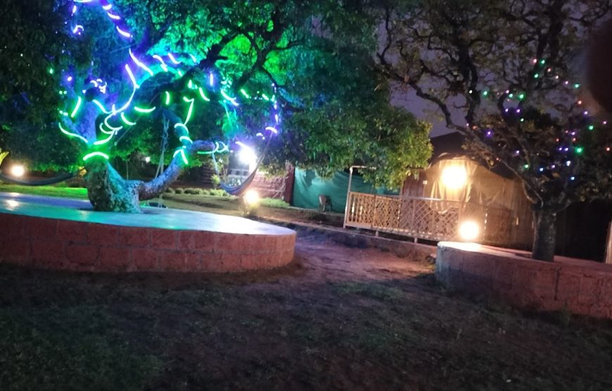 Mahabaleswar tent and wood house – Maharashtra