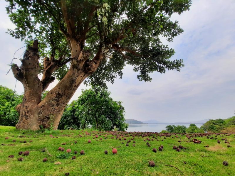 Pawna Lake Camping – Lonavala, Maharashtra