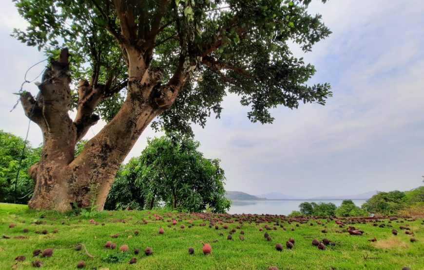 Pawna Lake Camping – Lonavala, Maharashtra