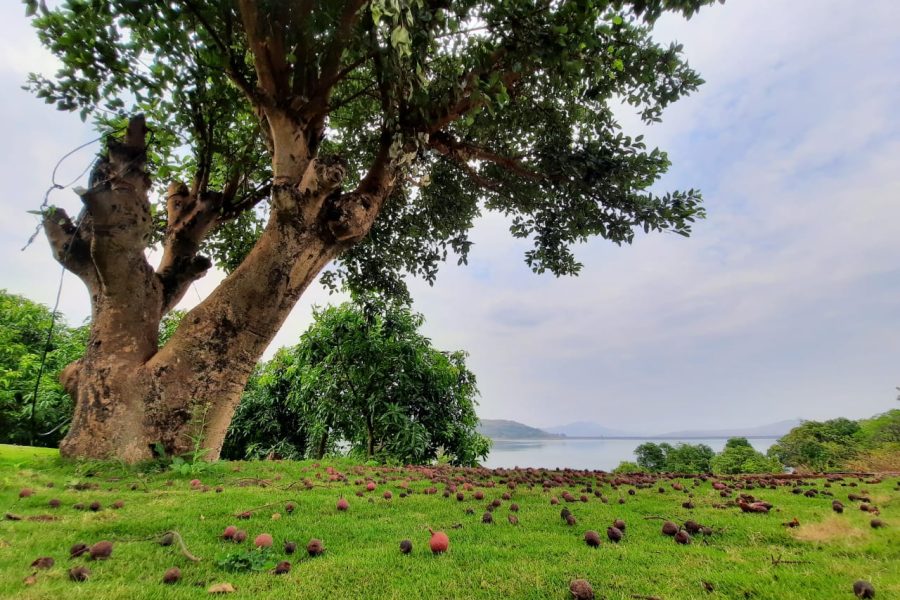 Pawna Lake Camping – Lonavala, Maharashtra