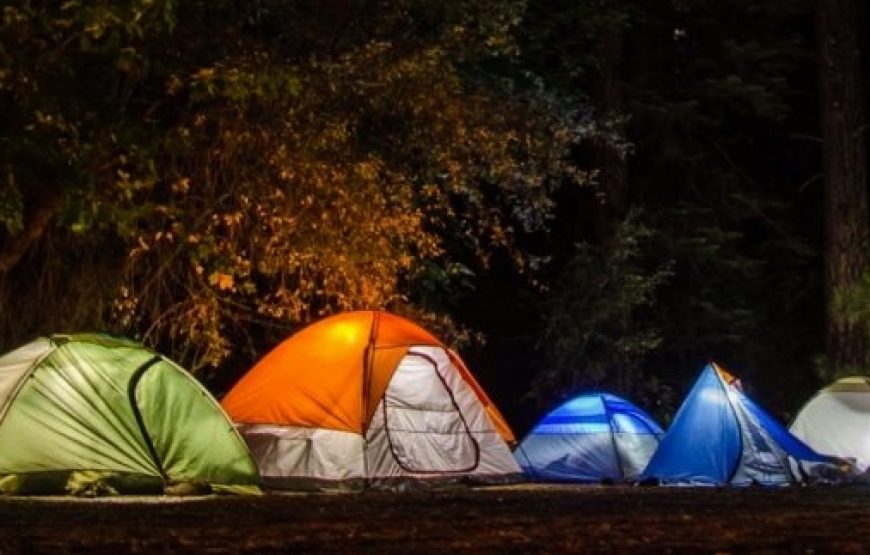Yamunavan Camps – Maharashtra