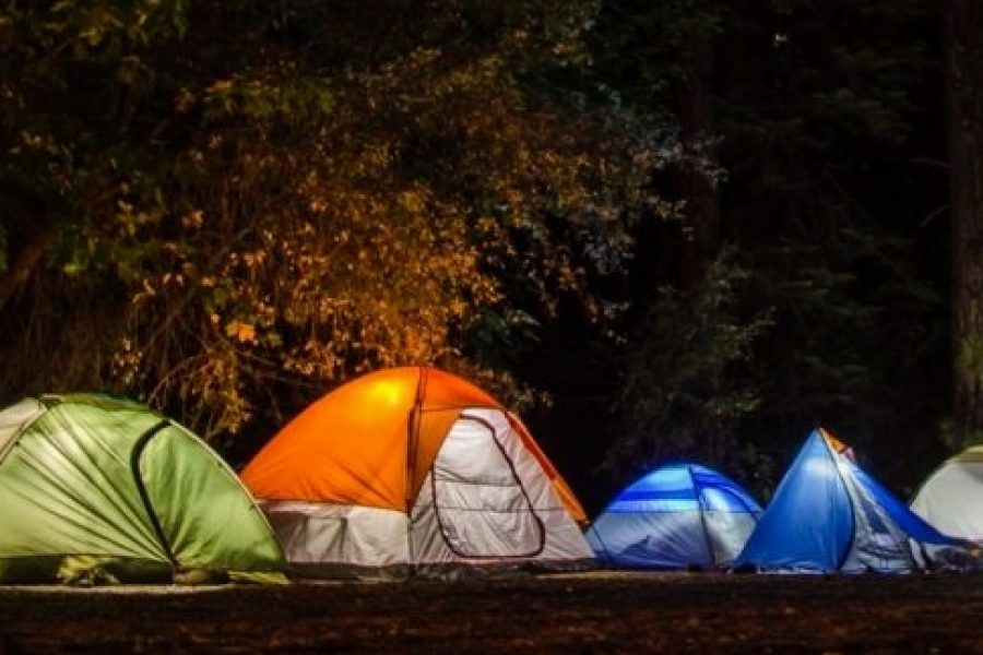Yamunavan Camps – Maharashtra