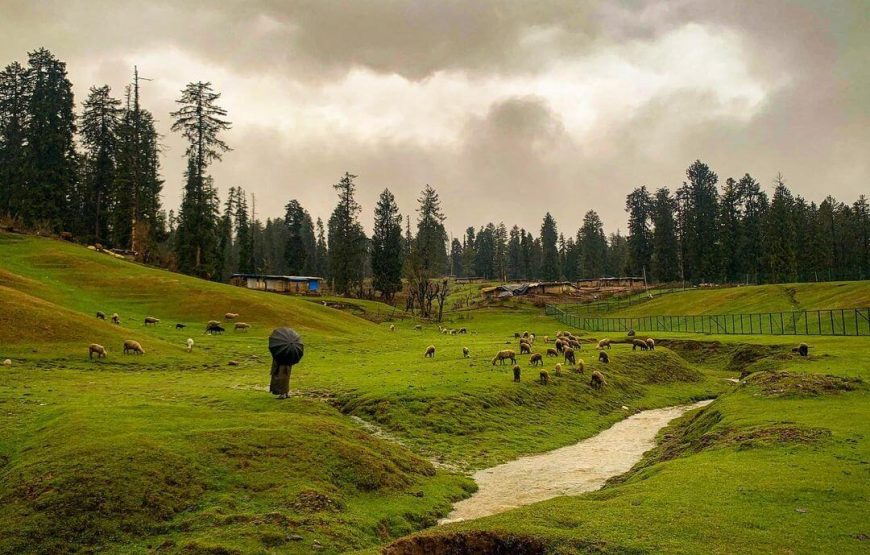 Yusmarg – Jammu and Kashmir
