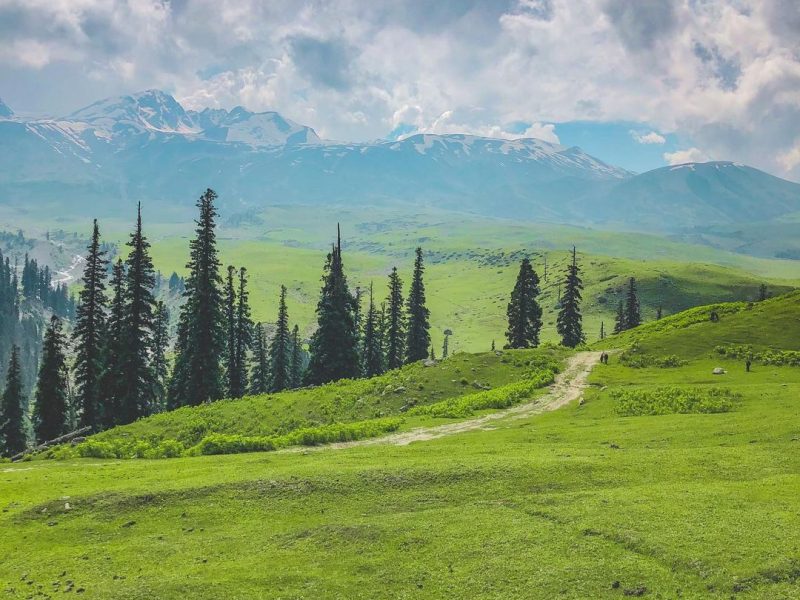 Tosa Maidan – Jammu and Kashmir