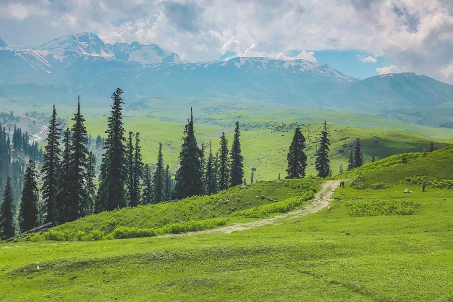 Tosa Maidan – Jammu and Kashmir