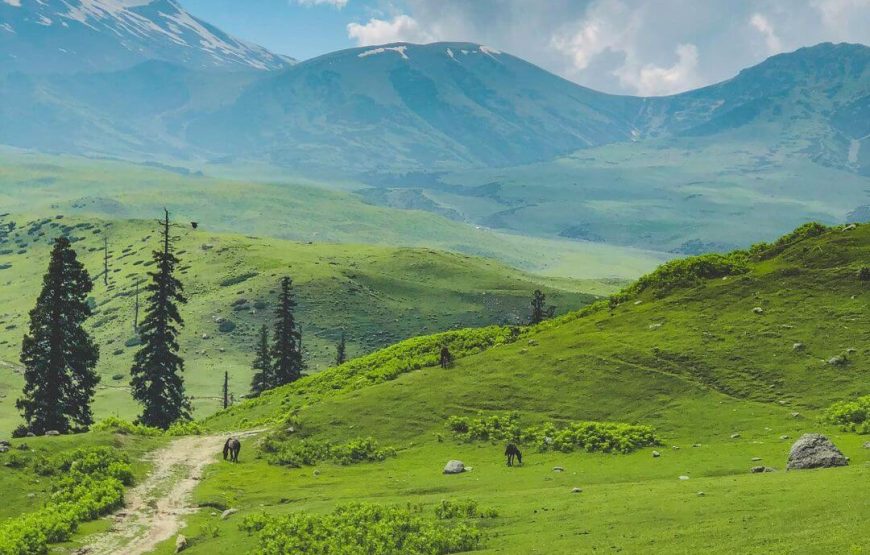 Tosa Maidan – Jammu and Kashmir