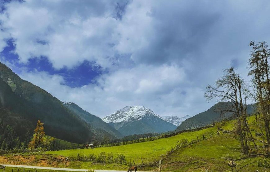 Aru Valley – Jammu and Kashmir
