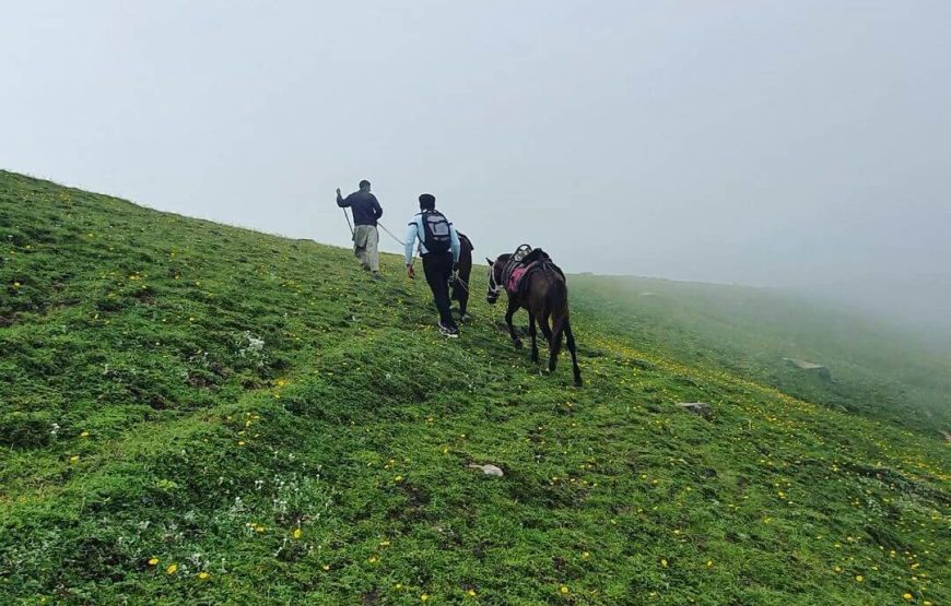 Yusmarg – Jammu and Kashmir