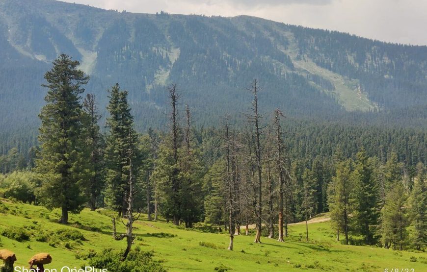 Gogal Dara – Jammu and Kashmir