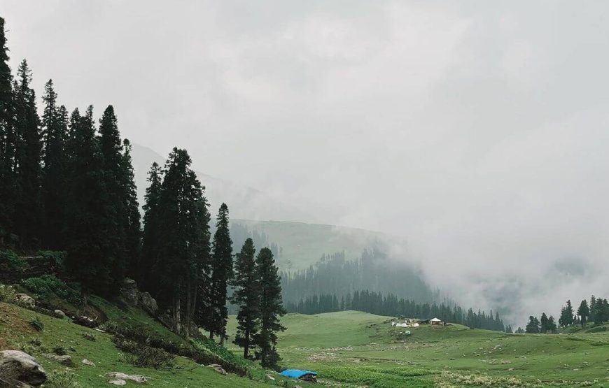 Tosa Maidan – Jammu and Kashmir