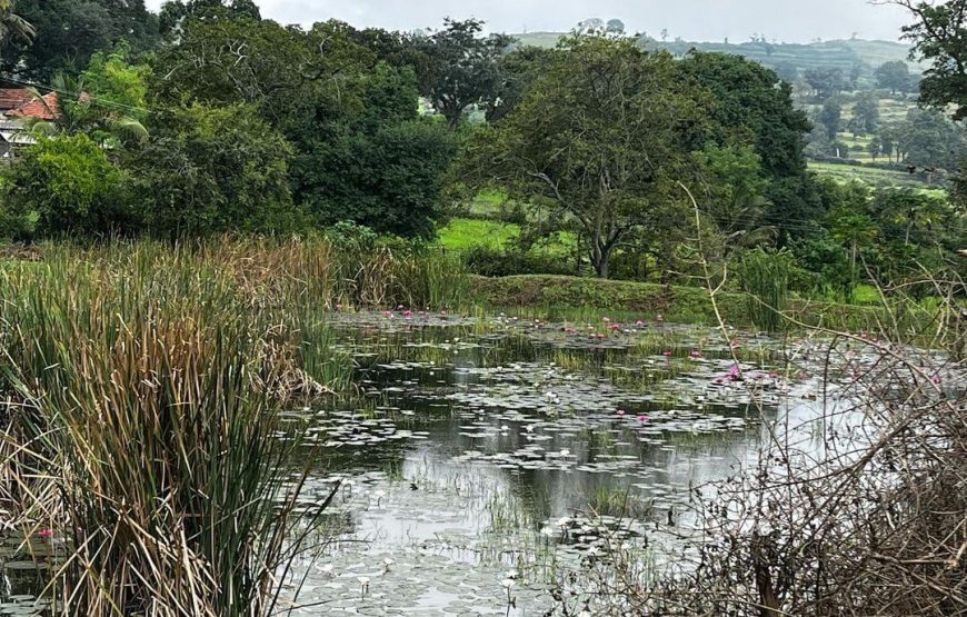 Aiyur Ecotourism Park – Karnataka