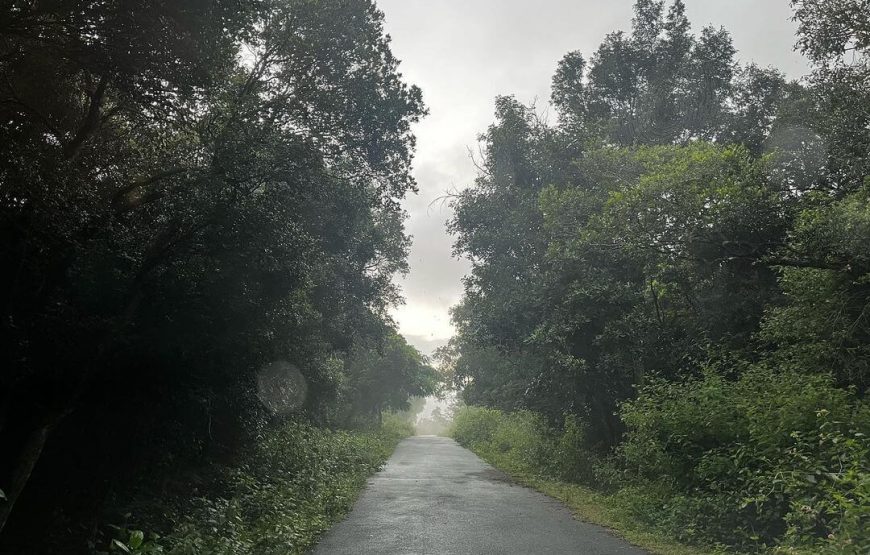 Aiyur Ecotourism Park – Karnataka