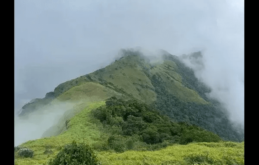 Tadiandamol Trek – Karnataka