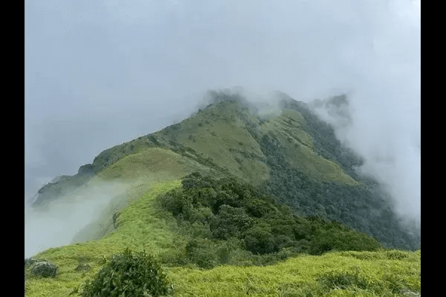 Tadiandamol Trek – Karnataka