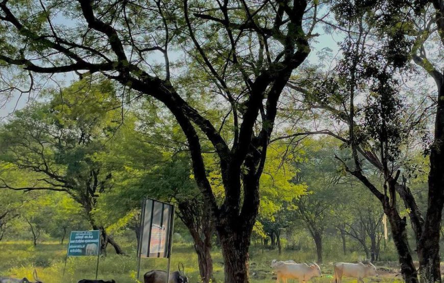 Biligundlu Boating Viewpoint – Karnataka