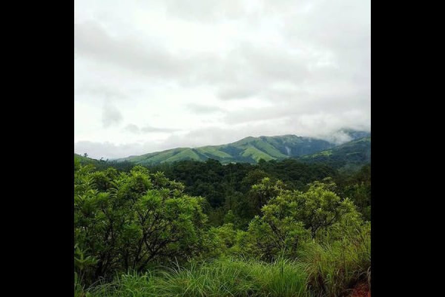 Kudremukha National Park – Karnataka