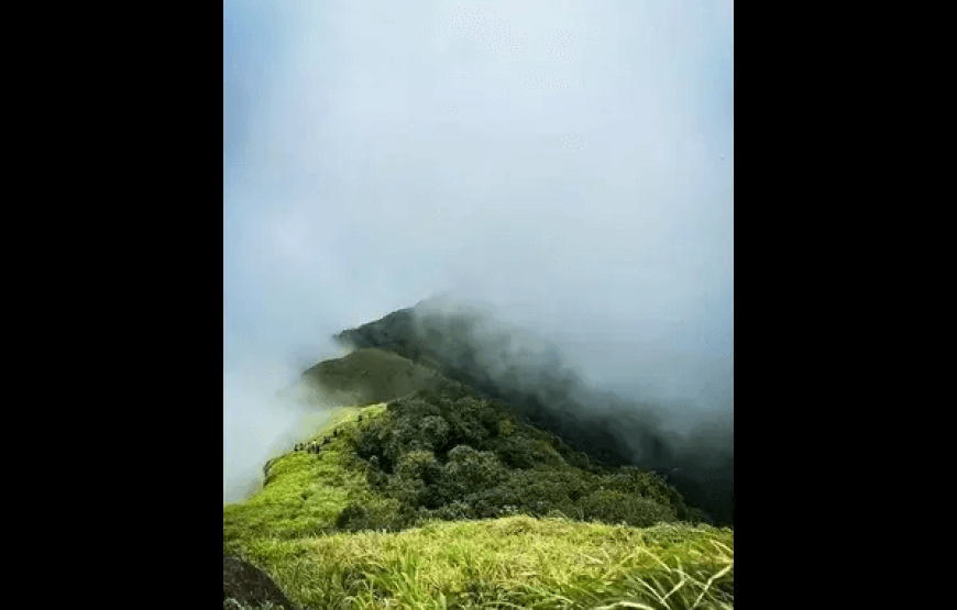 Tadiandamol Trek – Karnataka